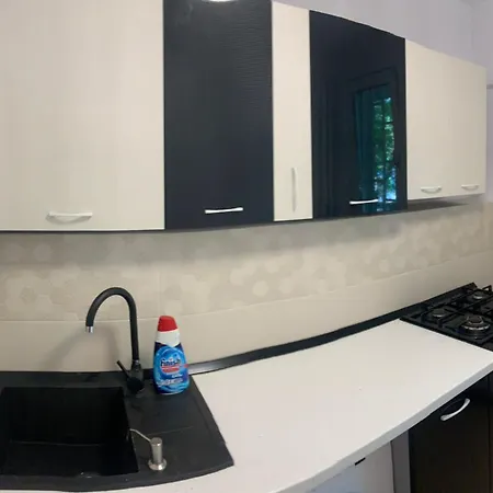 Διαμέρισμα Brancoveanu's Cozy Corner *