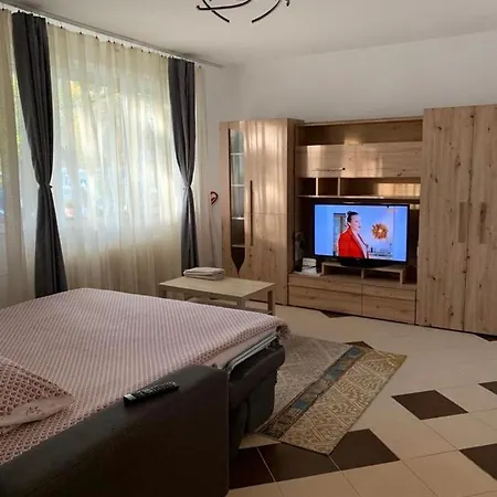 Brancoveanu's Cozy Corner Apartament *